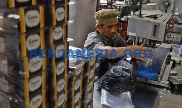 Gaji PT East West Seed Indonesia Terlengkap